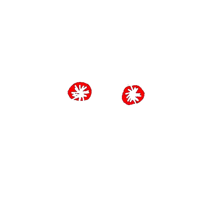 inscription 00000107dac82d0132784acaa4f38496eedd20b23c1a568800dbb0f30b374590i7