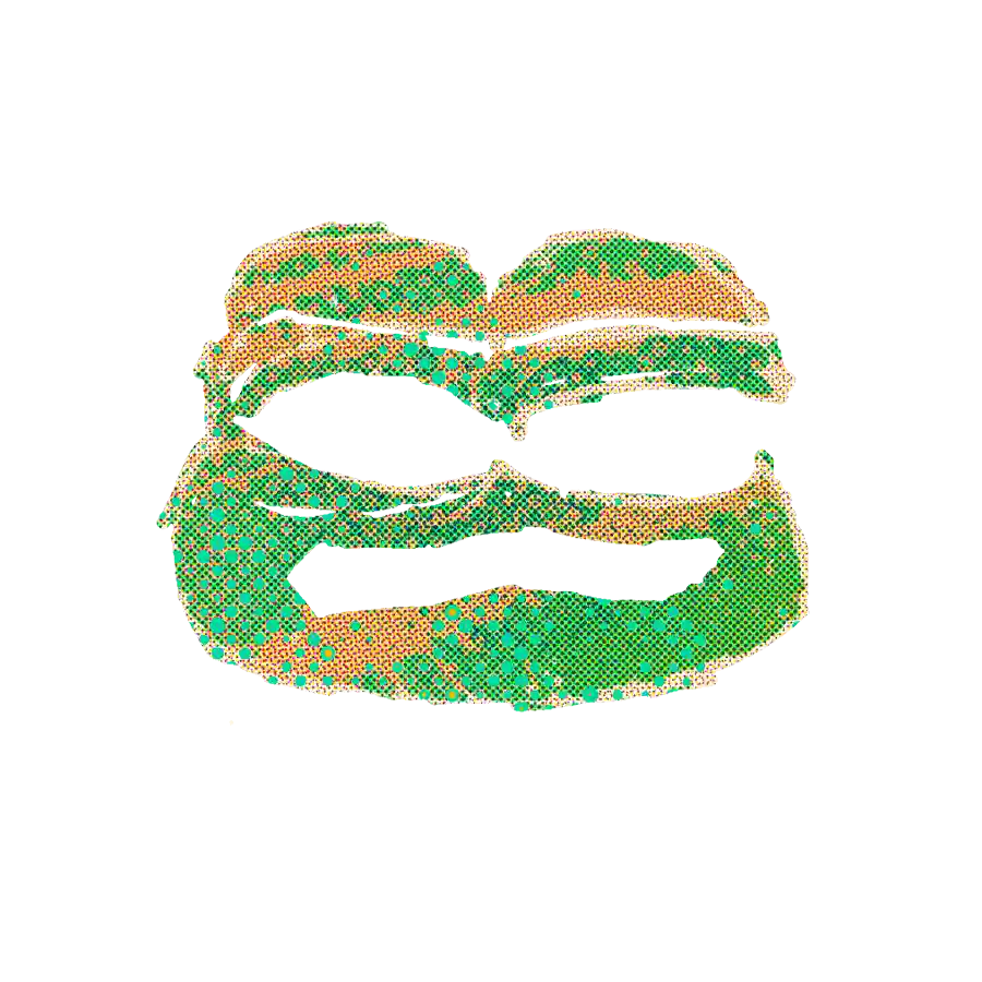 inscription 0000075eaf520690fb32835da395fc691592d8588a24e9316ecdd03f4b0c5215i0