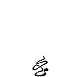 inscription 02cb0f9b8757860132017cb525d5adee3e4e4eeceff0d026a6b8f30aa32feccfi0