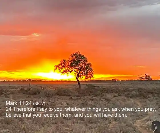 inscription 09bd8aba96292a4ae16eb2dad954c23f79ddd50eee53df06aa5bedfe265d1dbfi0