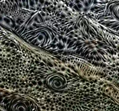 inscription 0b30a62cf2596a4d541d5d0f3d9fdfb2be16f2dcc31c9dfd13afb7bbf31bc1cdi3