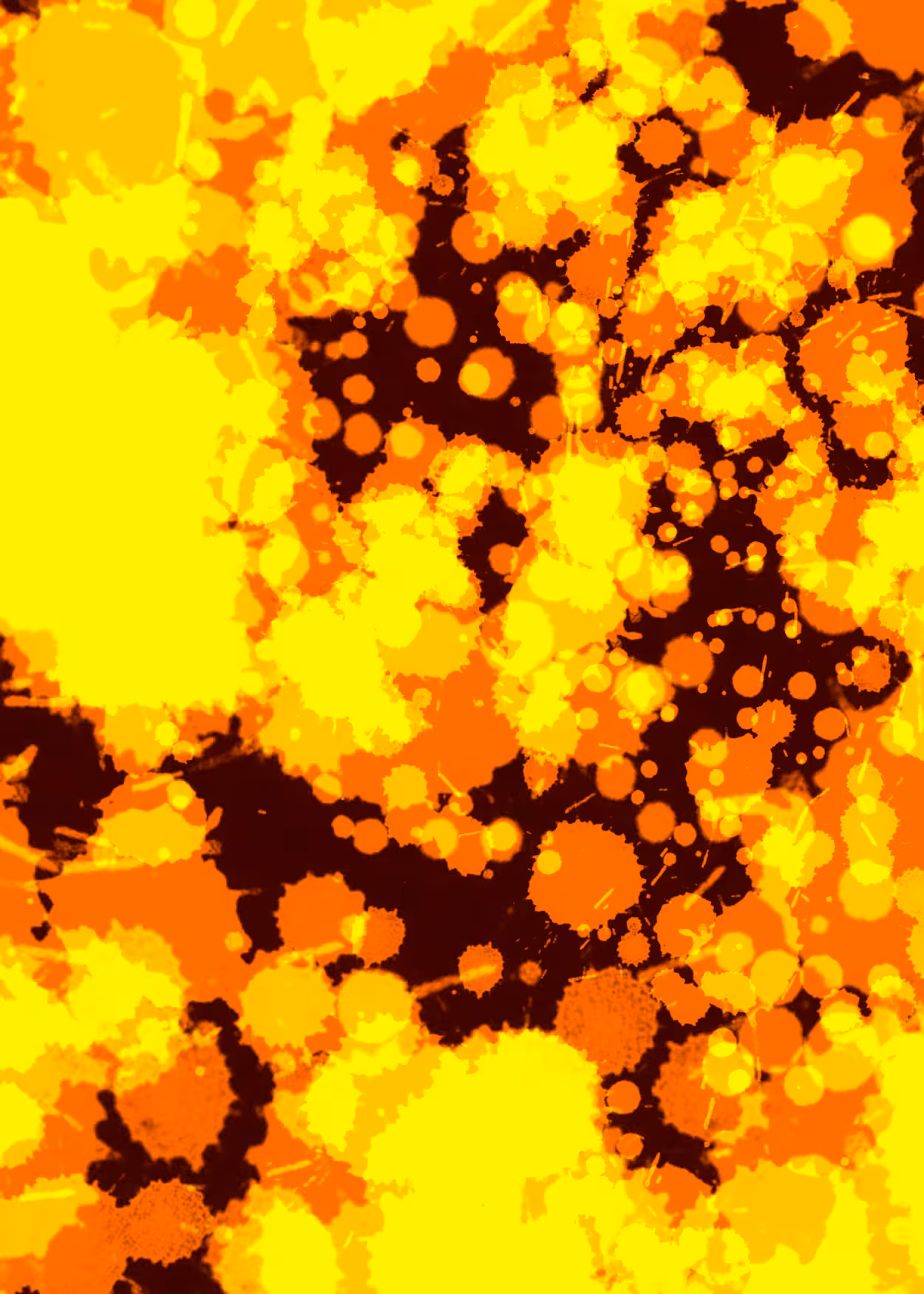 inscription 200eb8b7e4d8be6d7e866e453689d44d604eace2cb097f7cfae7ad86331fb499i0