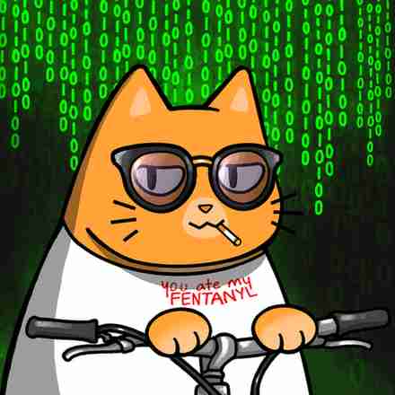 inscription 2c54fce4eec535bc6e2f70ab1138066bc929bb2b1c8f5731d836324b337fa588i12