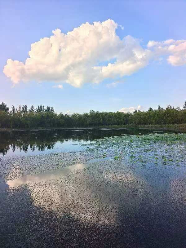 inscription 2ed3edf75e72fd093ab72eb3b14874ce02ff9d5abf42e3b99b890c7d117dced6i0