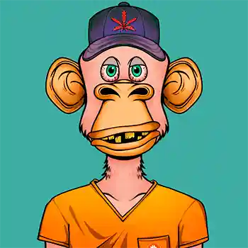 inscription 2ef1c0b2194fc74cdb5dec35fc3cf56ee2e5d25a08f1c5a4ce5ca24d69c62370i0