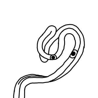 inscription 36c8b0ee0e54bf1f7638d8cab2b006e150e9ebb7aa424c5241e5bb475cbc3fc0i0