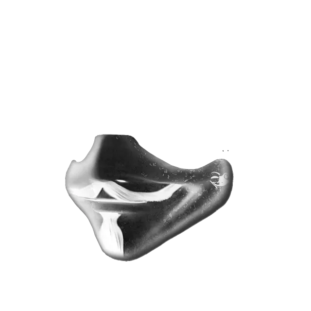 inscription 3de97776469062546baccd30d5e22b3f1ac30d86f8e973e94b2bc219f2d8fd04i0