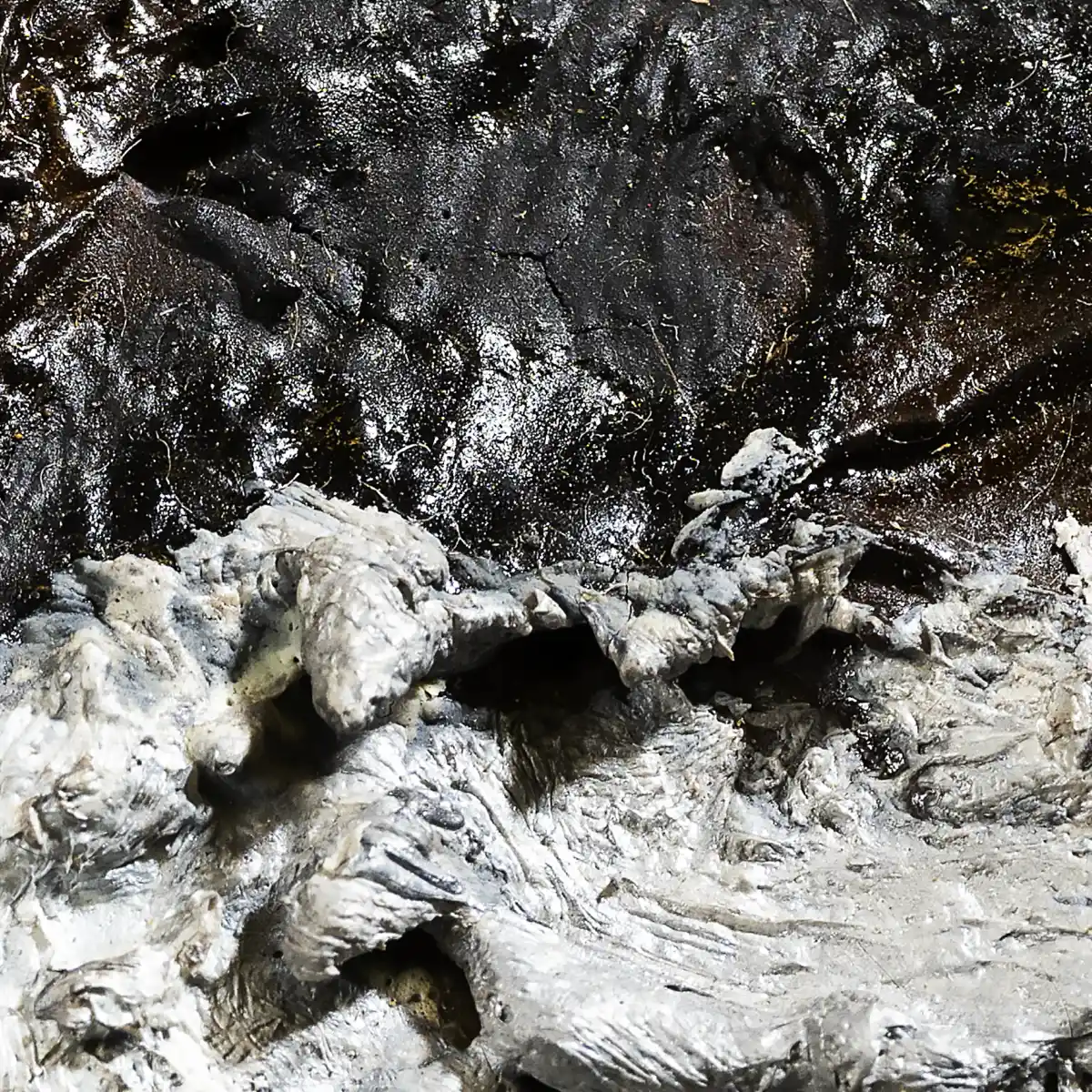 inscription 40157f0d8f36ba426de716557c027bc3804515476992fe7c3f685a6a6b0bbe05i0