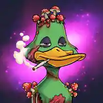 inscription 40819749178c5c8d4953742baaefccad71fe87a07df7eef00a007bdc5b9bc363i0