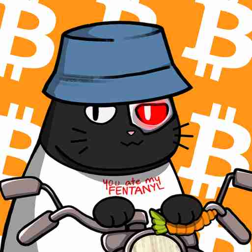 inscription 41d60e995c717b7fb1cefd56d3c2fb2a2eb553c8a641fdaf9348e9e1319b89f7i9