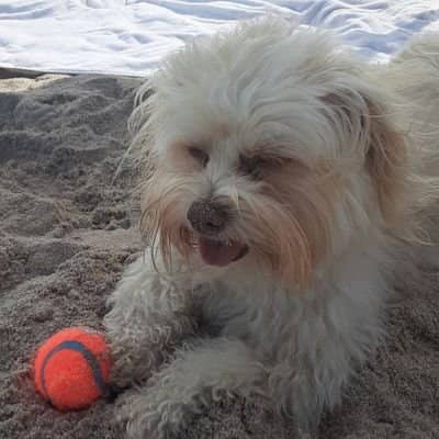 inscription 491fdc7e2e8920696ebd6c2a5b0b1e4d80f11671df3c2a7bb79fd3f409c25f9fi0