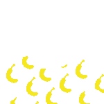 inscription 499ce616c7644f8218c4bc401d377a52b9db07e52ecbea845fd4e3a9d054e484i44