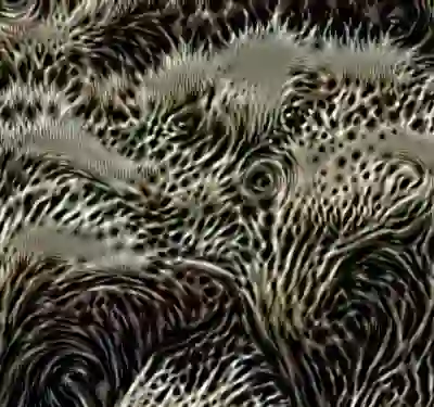 inscription 4a2361681d8670b7c5dfd63d347328d27b2860e4629c86a2f9d457cc2357e5cdi4