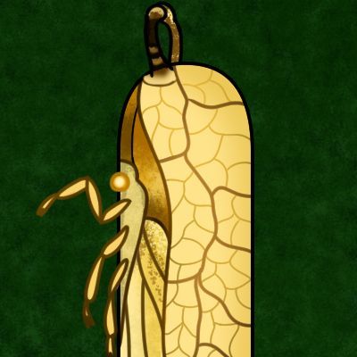 inscription 4e1d81eb8b31277ebe3aabc0146be2e2789cf7943b3e111ccd780f466d8391a2i0