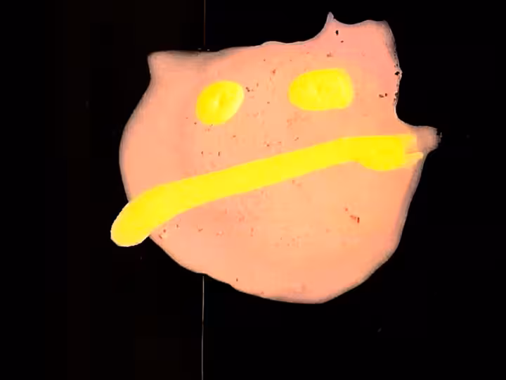 inscription 547fa32ad1c13d91bbbe4f4d6b3286912e2506db251d21ae63085cdcdd655692i18