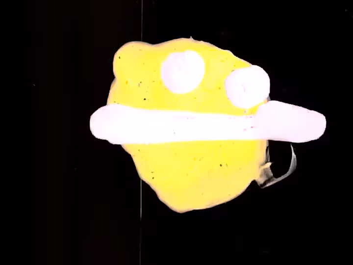 inscription 547fa32ad1c13d91bbbe4f4d6b3286912e2506db251d21ae63085cdcdd655692i21