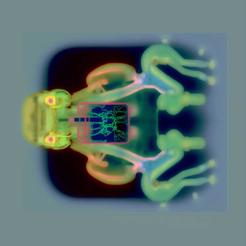 inscription 55f5f4e77f537c00a204062feb6cf748f702f0f14c635608b99d4d084e5aecc5i0