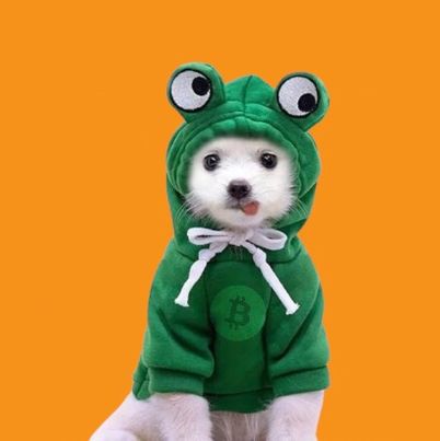 inscription 57e80df6308484ed49da30cbf744cdf3cb36428d28c2cae7b4c2e8a82432fe06i0