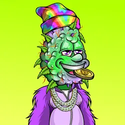 inscription 5d85aee33cdda2dd344a116a96239fdfdbaa65210ee216f8d1765b187f85b02di0