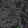 inscription 657ca4d196268cadaf63f9e0c300668167036c5abd666dcb4644442d53b4fd8ci48