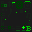 inscription 657ca4d196268cadaf63f9e0c300668167036c5abd666dcb4644442d53b4fd8ci67