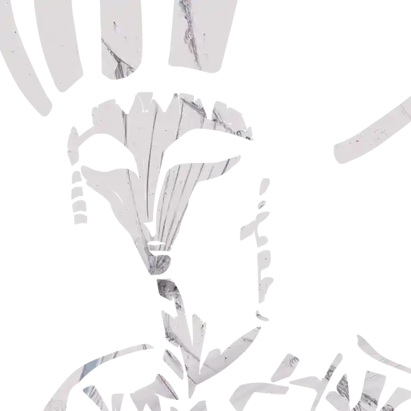 inscription 68227bb2d588e120fdbe14ebdb7a492b68151d47fe645341bdb96a56266a4e39i10