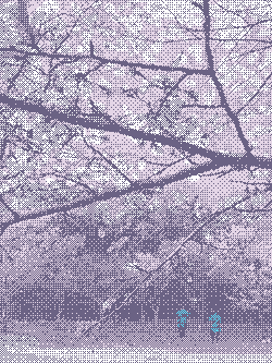 inscription 68342ffa978ae3da0c2a61bfeb6746a3282e416d2d23f66ea48dd793c1547340i0