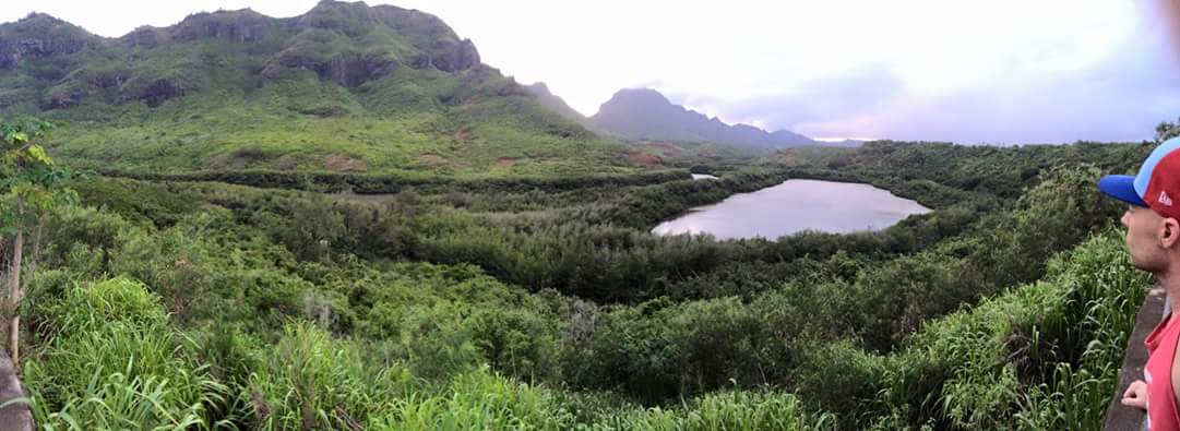 inscription 738fbb3cd4a37ff3b2cf871d8d1dafa1cc4429b75b93c8bc309fb9bd3ee715f5i0