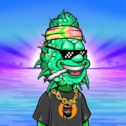 inscription 7cb5584c8beedd27fe54d3d917a7655f207a241fb1b1bc7b982bd9e7696147ddi0