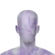 inscription 7d4e44228e5ec9df743847c0192d3762e94bce177de00dfdf4e5fe5f200fc7c4i0