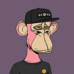 inscription 88f81de1f6adced45affb53c8fa620dcc44634bdfb3ad045fb65409fbb7bd096i0