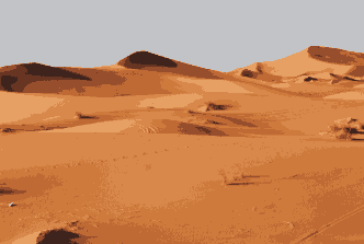 inscription 8df545593206e7137400a6dc259f0e5d9f7b47ea0fcb2d1be621f05e3c458ae2i4