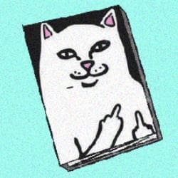 inscription 90370b0f6a5dd34541c0700afc45cb35dcc586b77ed8a4b8b266e0522ef8178ci0