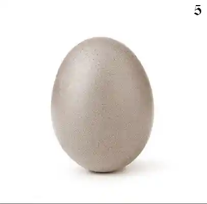 inscription 9099e5dfd61340db3d6d40112280bf43a70d6d2ff45dffc41966ff2c47efec37i0