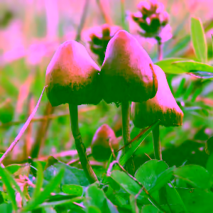 inscription ab147d18ffb4c3357c7b45db58b07f5ecbd2c76e1e569bfa2bd4803773f8796ci0