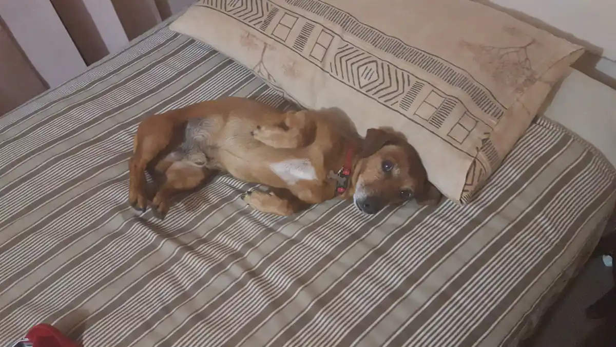 inscription ae3a993dd77616014d017616009bce4e99205bb070868745cd7fb2bca4cdbf11i0