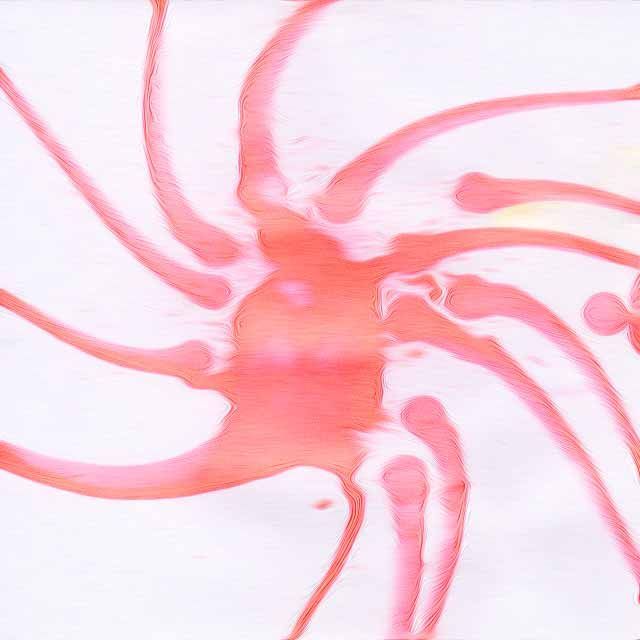 inscription b42634fddbfcceb797af7aebb3efa965714f9ee3bfef6d85b50b1bef98d43cc0i0