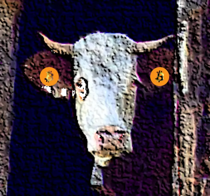 inscription b4408a75bfdef5ae14455fa9c932a50bf021ced1bb809c8d1d612cded128f500i0