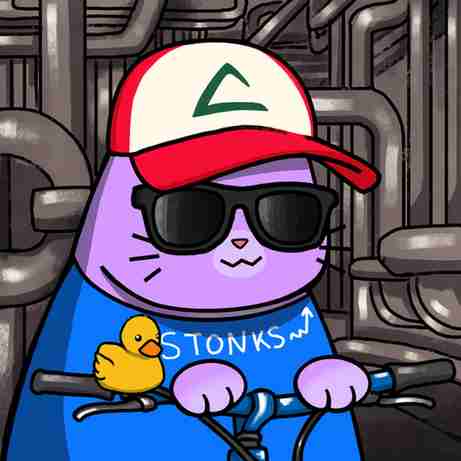 inscription bf8973f27a88771bf0e2e32a96a06a14785b5da1fc402c995b4f93500a10baefi11