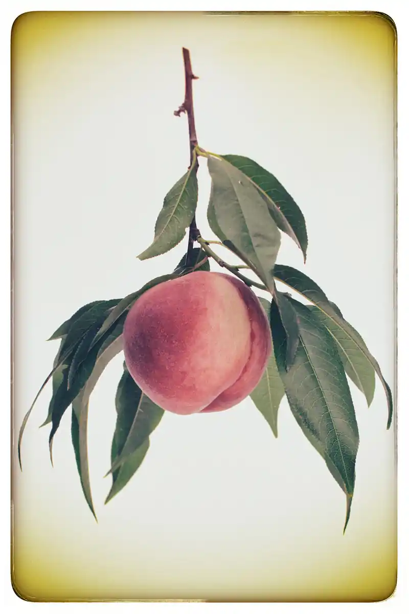 inscription c0524da2af3b04be3890dfbf5f2ba44b0d64c802ddfc47b4e7f007e6ae49b5c0i0