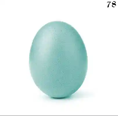 inscription c1d5a6cb0b108e2bc239c1907a9f2b5401f29af961475af8fbd4aee415e4c73ci0