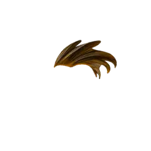 inscription c35edafddb5c8af31ee39ded8355f8cf2bb3c2d3fb6ca64b270fa7fd745665f2i0