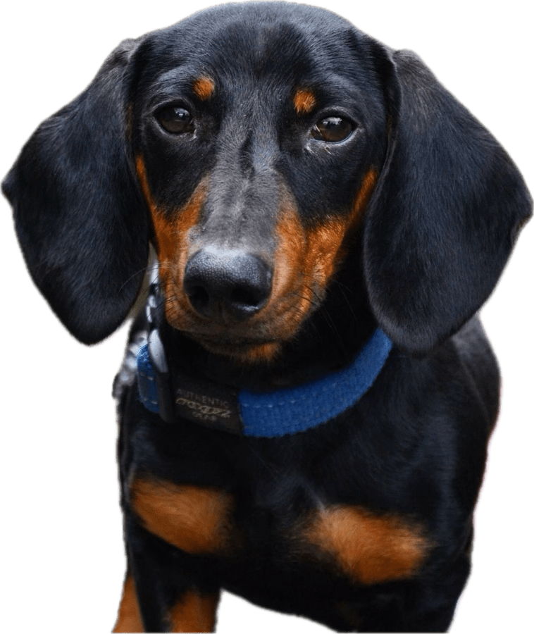 inscription c7169d32cab33257ee3a3bbd4e6fe86f3bb8c3395bad032402a5ddfcb7acdff3i0