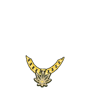 inscription ce60e36db359d0cc9e2e7fedd95d5acf0b03c30ef7166db241d55ccf1394cd76i17