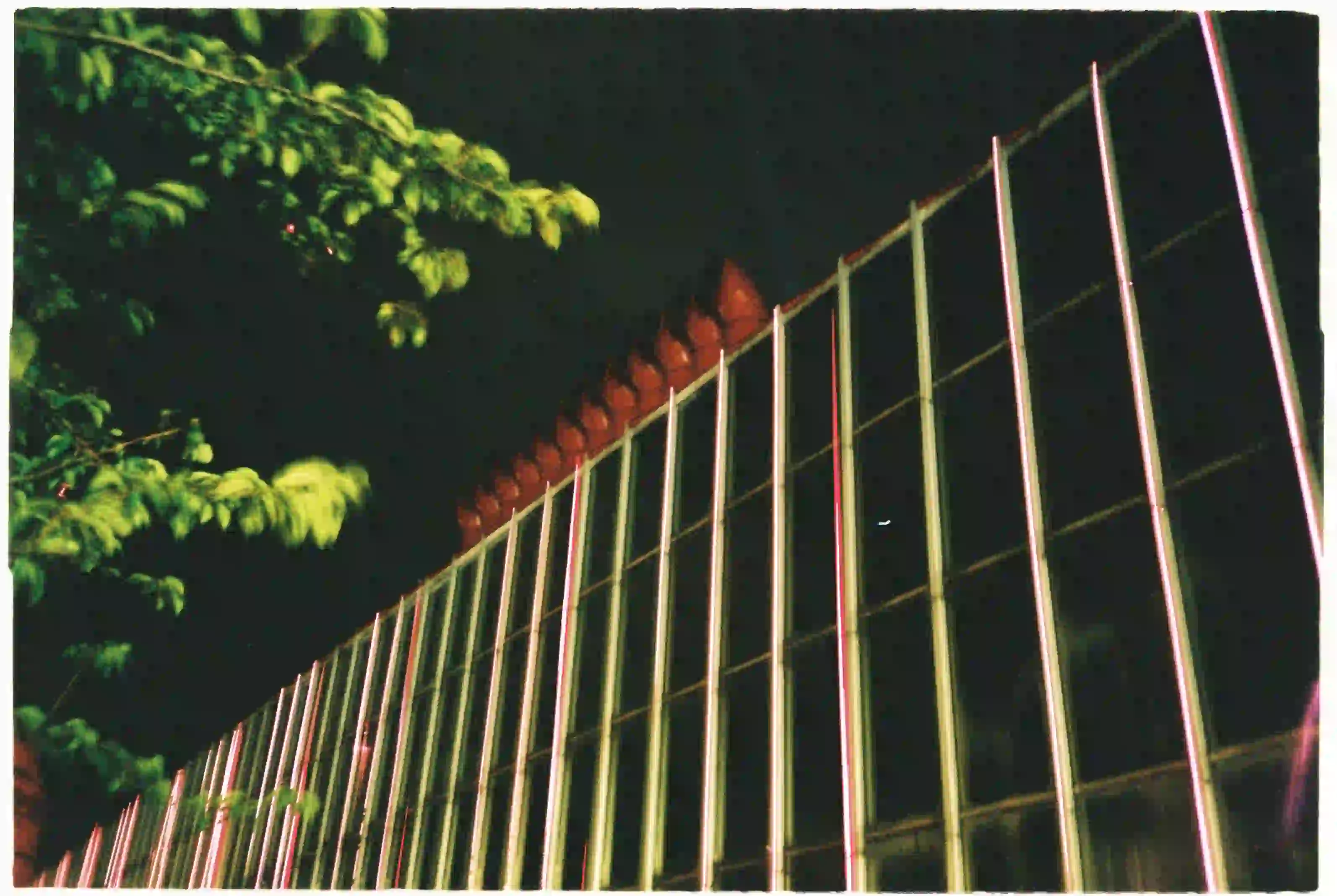 inscription d0aaea0dc790121ebe8e6a9595e45e79fb9ba0c00da382f841eb6b1d2413fc31i0