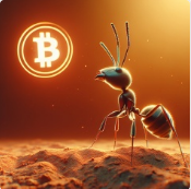 inscription d239d2a170d3df59341bff0cdcaa5fde893aa8908ff4b7d604d254752a7b7698i0