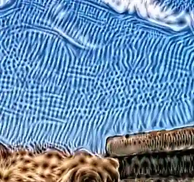 inscription d702e9d52ed640117fcbdfada9bb2a8718fcf968cf7d85db4bc256889937d8d8i2