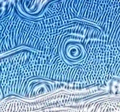 inscription d702e9d52ed640117fcbdfada9bb2a8718fcf968cf7d85db4bc256889937d8d8i7