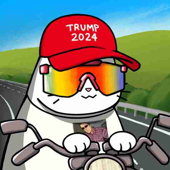 inscription ddb30baafde89f736de010f2988343e98fb105bdc4737b95d7eb1fbf85f9e397i0