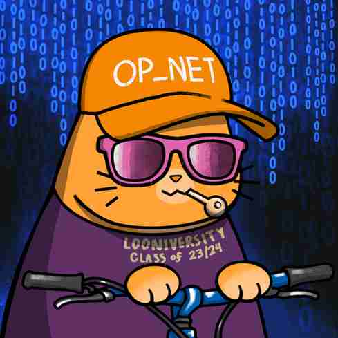 inscription ddb30baafde89f736de010f2988343e98fb105bdc4737b95d7eb1fbf85f9e397i17